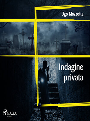 cover image of Indagine privata